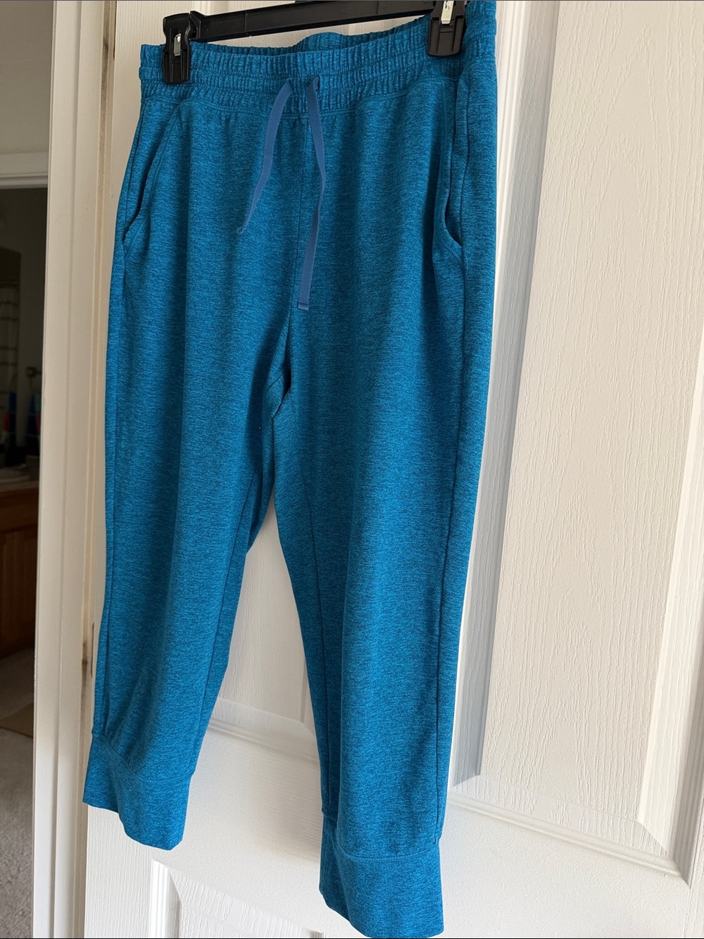 DSG Blue Heathered WOMENS Jogger Pants